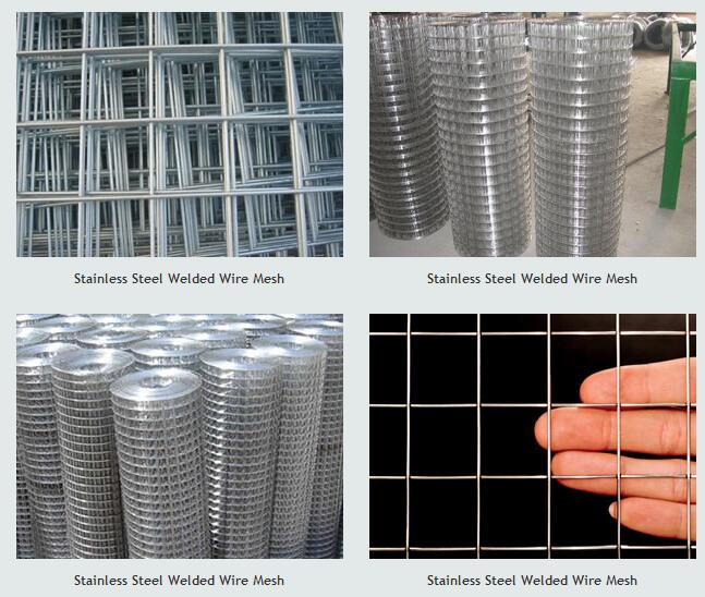 SS welded wire mesh 