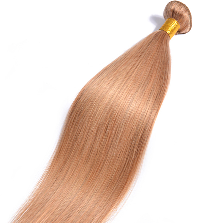 Xuchang wholesale hair vendors free sample virgin brazilian human hair bundles color 27 straight hair extension