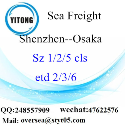 Shenzhen Port LCL Consolidation To Osaka