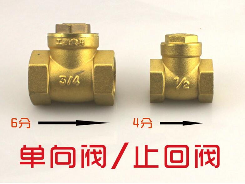 brass swing check valve