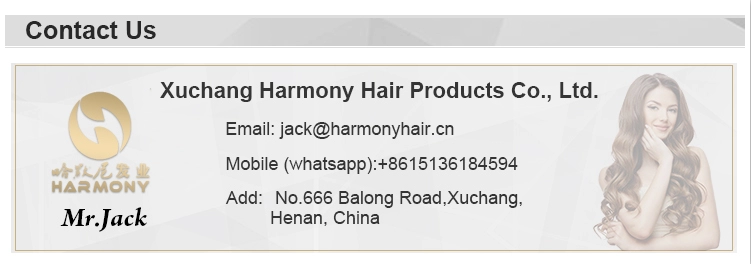 Wholesale Virgin Human Hair Tape In Double Drawn Remy Russian Tape Hair Extensions