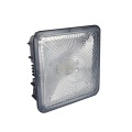 50W LED Canopy Gas Station Light