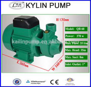 QB 60 home use clean water pump