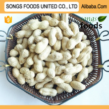 Healthy Food Name Raw Peanut Inshell