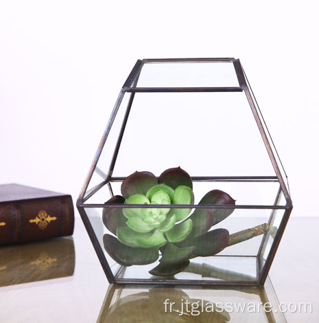 Forme Super Large Verre Terrarium Géométrique