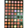 120colors Shinny Lidschatten Kosmetik OEM