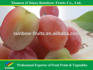 Grapes China red grapes Best fresh red grapes from Xinjiang China with good quality