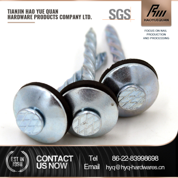 China titanium roofing screws chicago roofing screws promotion