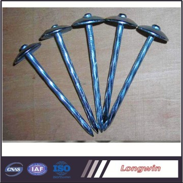 Nail decrations construction tools of galvanized roof nails