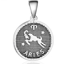 Iywu Aceon Stainless Steel Chinese Zodiac Embossed Pendant