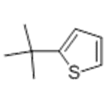 Tiofeno, 2- (1,1-dimetiletil) CAS 1689-78-7