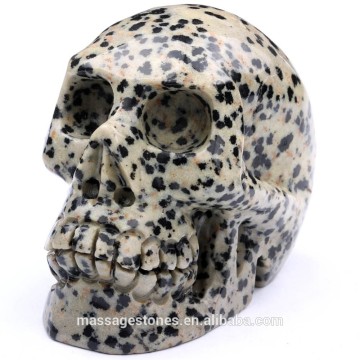 Wholesale dalmation jasper stone skulls crystal skulls craving