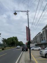 Customizable Finished street lamp