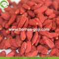 Factory Grossist Super Food Nutrition Ningxia Lycium