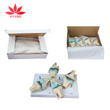 PVC Pathological Knee Joint Model - Direct Factory Supply