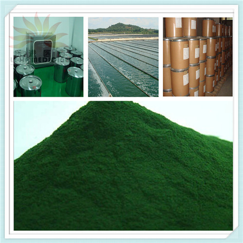 GMP & Kosher Best Quality Natural Organic Chlorella Powder (LJ-H-05)