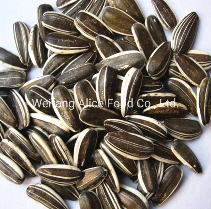 Wholesale Bulk Packing Low Price China Sunflower Seeds