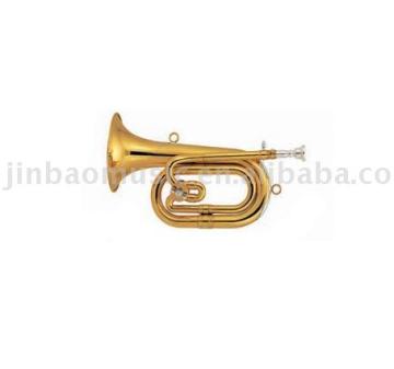 Spanish Horn