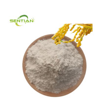Organic Rice Protein Isolate