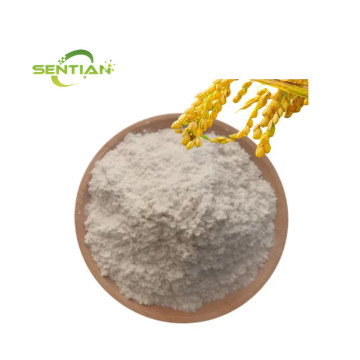 Organic Rice Protein Isolate