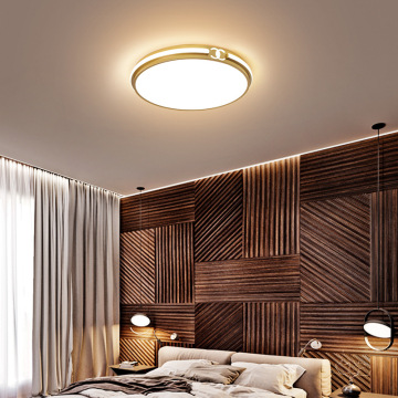 LEDER Led Small Ceiling Lamp