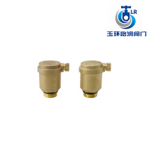 Plumbing Air Vent System