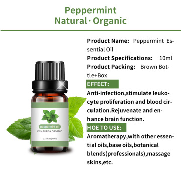 Steam Distilled Essential Oil Peppermint Oil Wholesale