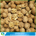 Pensijilan ISO dan jenis Walnut walnut keseluruhan di Shell