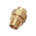 Brass MxF straight union H859A