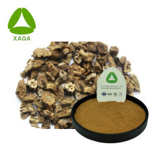 Radix Stemonae Extract Powder 10: 1