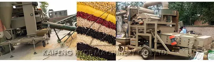 Rice Wheat Maize Seed Cleaning Machine Seeds Grains Processing