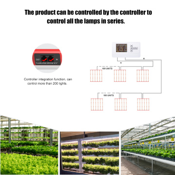 고전력 디밍 가능한 플랜트 성장 램프 800W