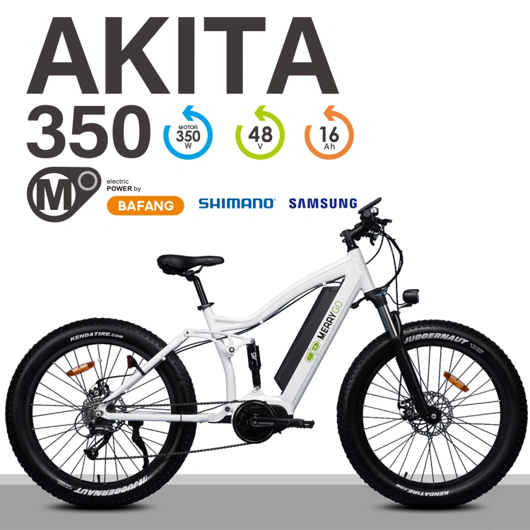 2019 Hot-Sell 48V 350W Middle Drive Motor Fat Tyer Electric Bike