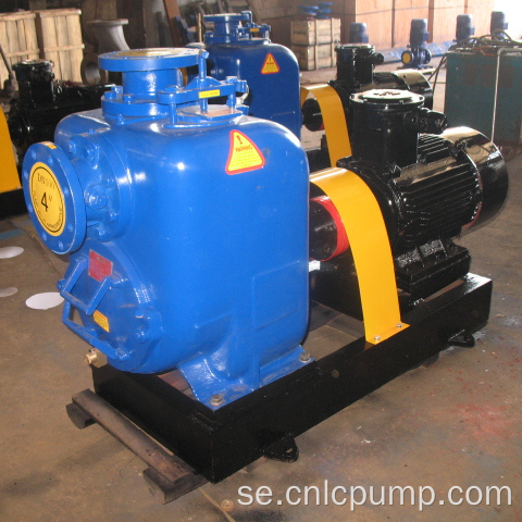 Självsugande Centrifugalvattenpump 10 tum