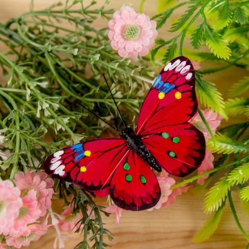 Manualidad con rollo de papel de mariposa