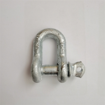 Hot Galvanized Drop Forged Chain Shackle D Ring Shackle