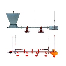 H Type A Frame Automatic Broiler Chicken Cages for Wholesale