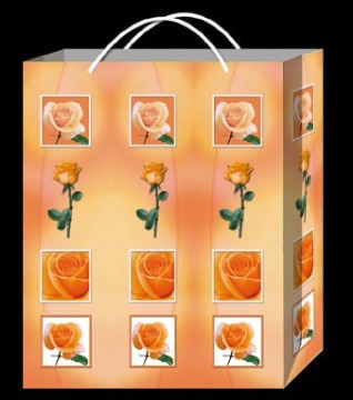 Competitive Paper Bag China Supplie