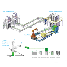 Automatic Primary Packaging and Secondary Packaging Machine