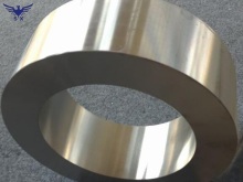 Professional Forging Ring Titanium