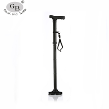 Nordic Walking Staff for Old