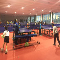 Indoor PVC Rolling Table Tennis Court Surface