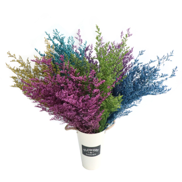 Natural Dried Bouquet Flowers DIY Materials: Preserved Limonium for Home Decoration