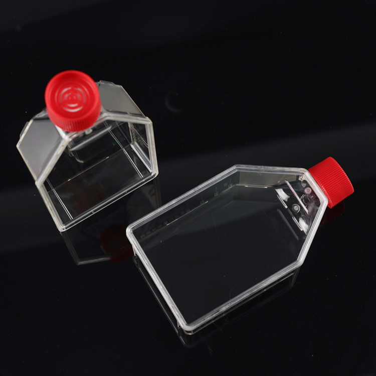 T25 -Zellkulturflaschen für anhaftende Zellen