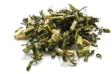 Top Quality Herba Leonuri