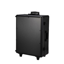 Leopard Studio Makeup Case With Usb Aluminium Lighted Train Case