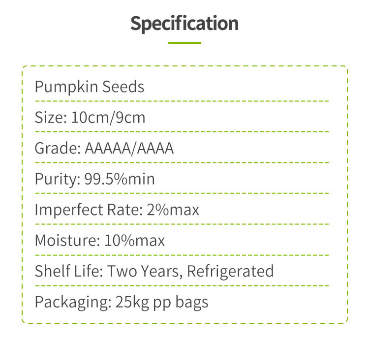 New Product Dried Sell Market Price Pumpkin Seed