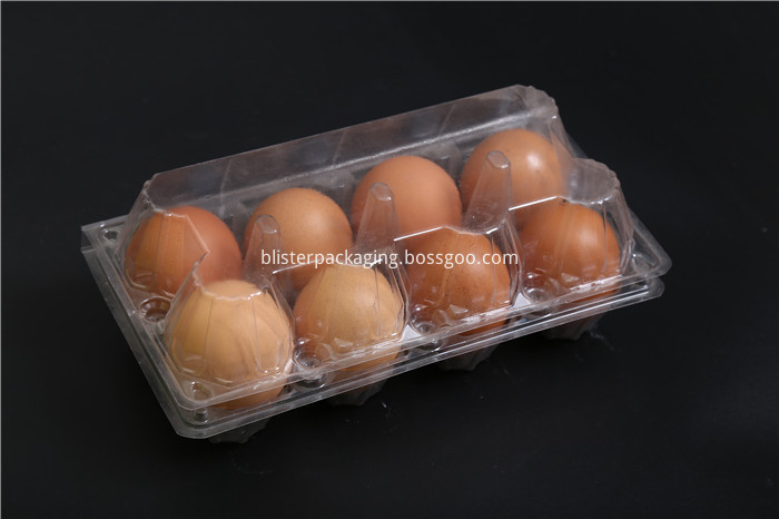 Disposable Plastic Egg Tray