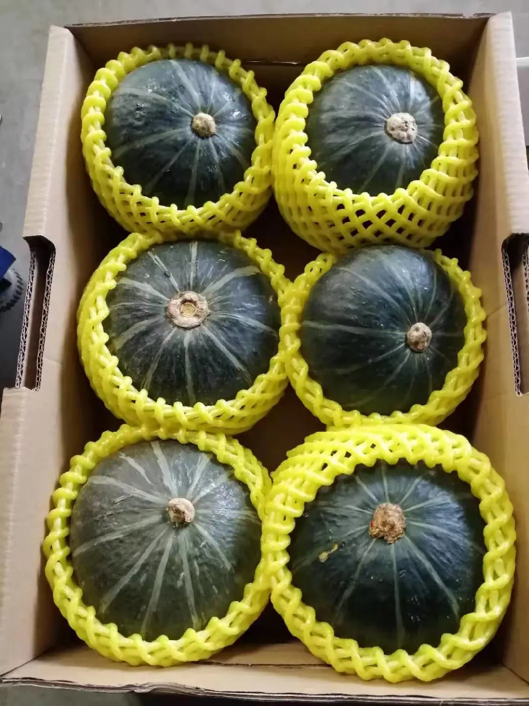 Fresh Pumpkin, Fresh Mini Pumpkin From China High Quality