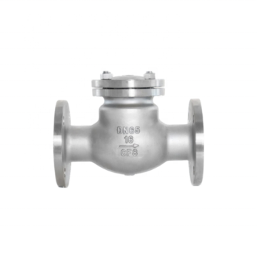 DN65 Check Valve Stainless Steel